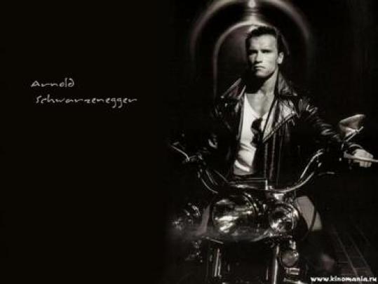 [48+] Arnold Schwarzenegger Conquer Wallpaper 