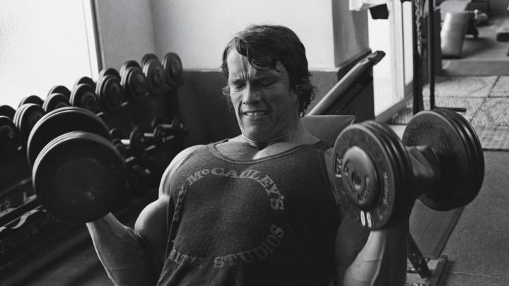 Arnold Schwarzenegger Conquer Wallpaper (73+ images)
