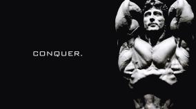 Arnold Conquer Wallpaper 1920x1080