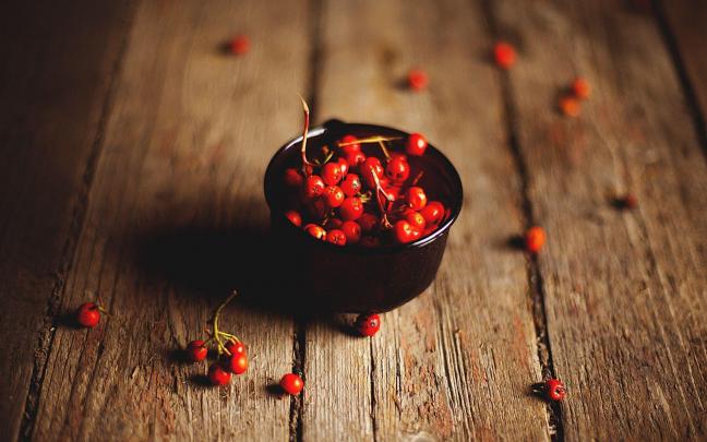 Still Life Backgrounds