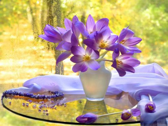 beautiful, Flowers, Autumn, Tender, View, Delicate, Harmony, Vase 