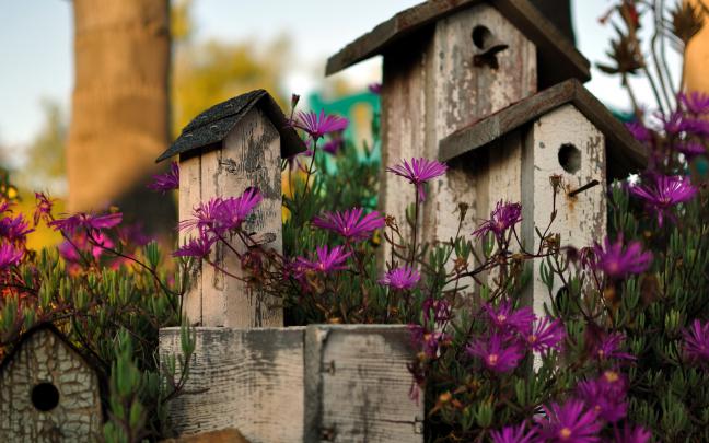 nature, Flowers, Garden, Birds, Houses, Architecture, Still, Life 