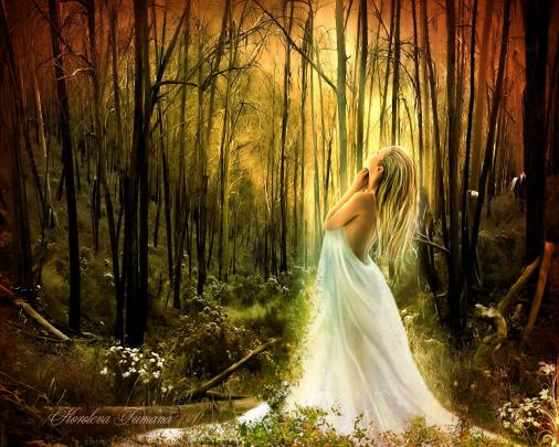 Beautiful Fairies Wallpapers