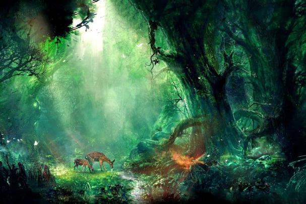 Beautiful Fairies Wallpapers \u00b7\u2460 