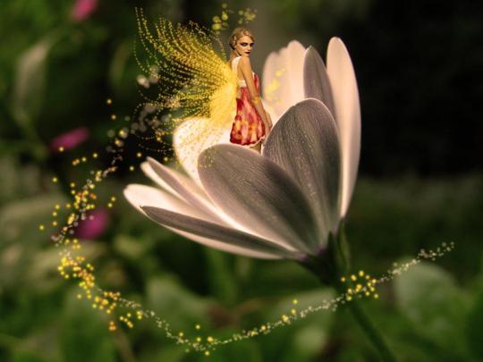 Image Gallary 3: Beautiful Fairy wallpaper, Cute Fairy Wallpapers Free 