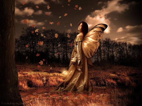 Fall Fairies Desktop Wallpaper -