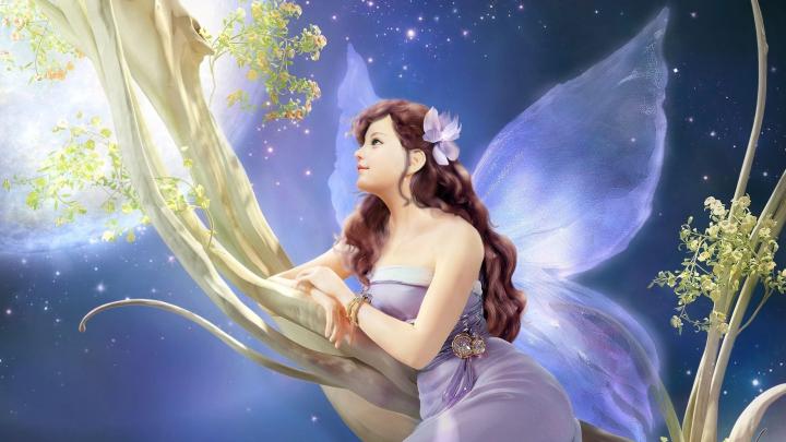 Pretty Fairy Wallpapers \u00b7\u2460 