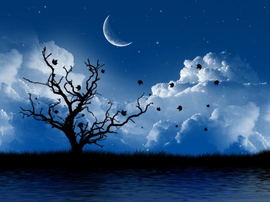 Moon-Beautiful-free-Wallpaper-Desktop-hd - HD Wallpaper