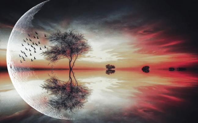 Beautiful moon above the tree wallpaper | creative and fantasy 