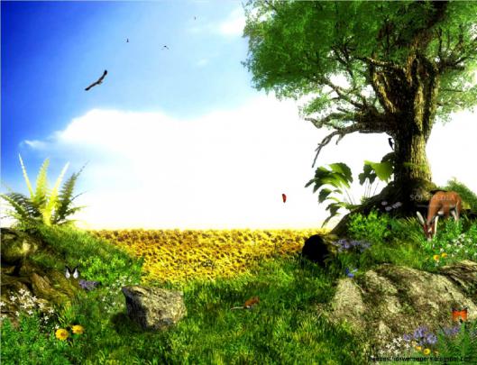 3D Wallpaper | Free Best Hd Wallpapers
