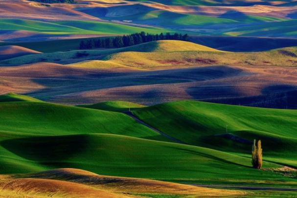 Natural Wallpaper for Desktop \u00b7\u2460 