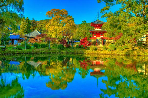 12+ Desktop Wallpaper Nature Images - Basty Wallpaper