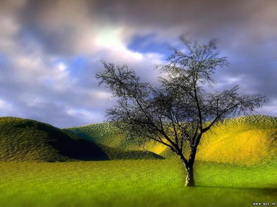 Beautiful 3D Wallpaper for PC -