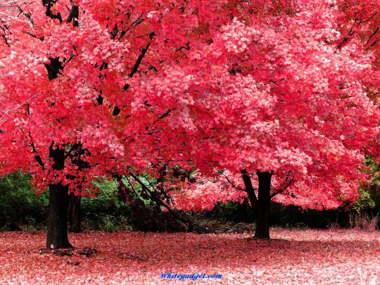 Wallpaper Of Beautiful Places -