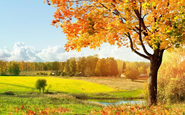 Top 33 Most Beautiful And Dreamy Places Wallpapers In HD