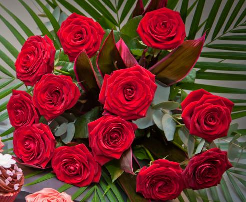 Red Roses flower beautiful red rose wallpaper - Angelic Hugs