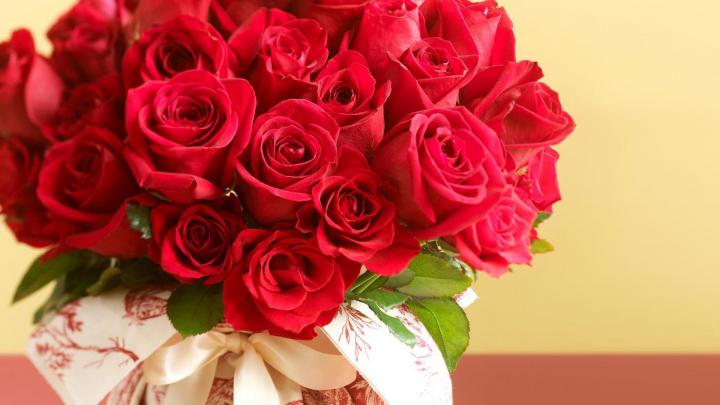 Roses Wallpaper for Desktop \u00b7\u2460 