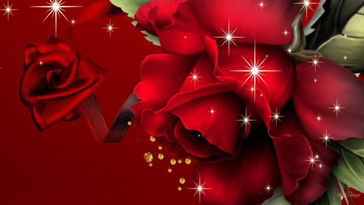 Red Roses Wallpapers for Desktop \u00b7\u2460 