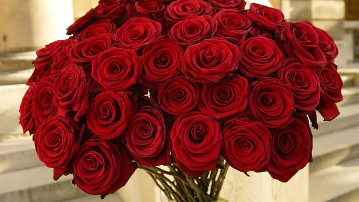 HD wallpaper: Beautiful Red Roses Flowers, Bouquet, bouquet of red 