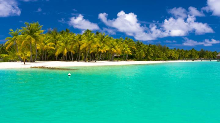 Summer Wallpaper Desktop (69+ images)