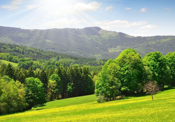 Beautiful Summer Desktop Wallpaper -
