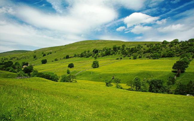 Most Beautiful Summer`s Nature Wallpapers | Wallpapers Stocks