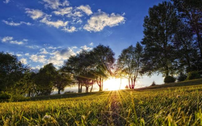 Beautiful Summer Backgrounds