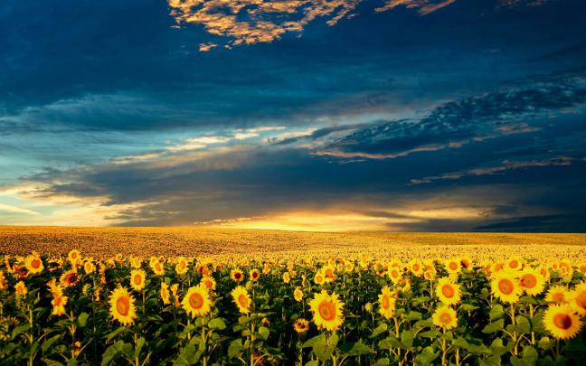 Beautiful spring wallpapers, Pictures, Images