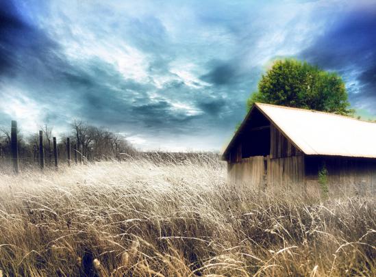 15 Best Beautiful Wallpapers For Your Desktop Backgrounds