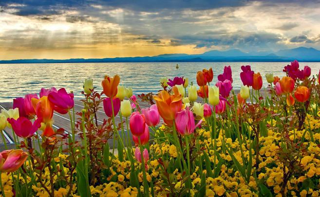 Most Beautiful Wallpaper for Desktop (62+ images)