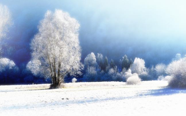 Beautiful wallpaper of winter, desktop wallpaper of snow, fog 
