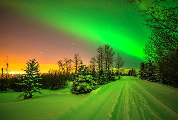 lights, Aurora, Borealis, Trees, Stars, Road, Sky, Snow, Winter 