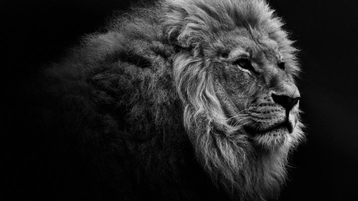HD Desktop Wallpaper Free Download