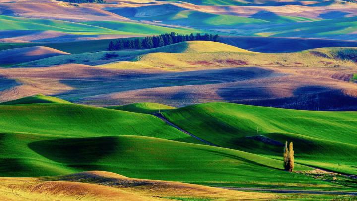 15+ Beautiful Nature Wallpaper For Smartphone - Basty Wallpaper
