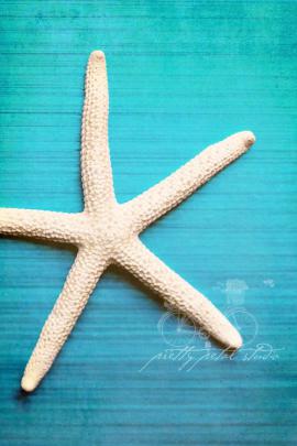 Starfish Background -