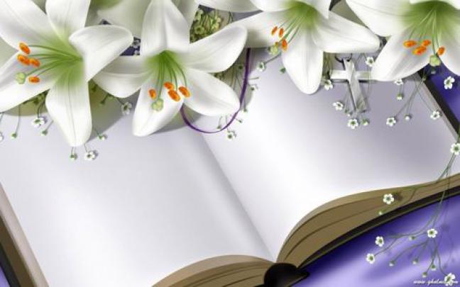 1106 best Hd Wallpaper Full images on Pinterest | Hd wallpaper 