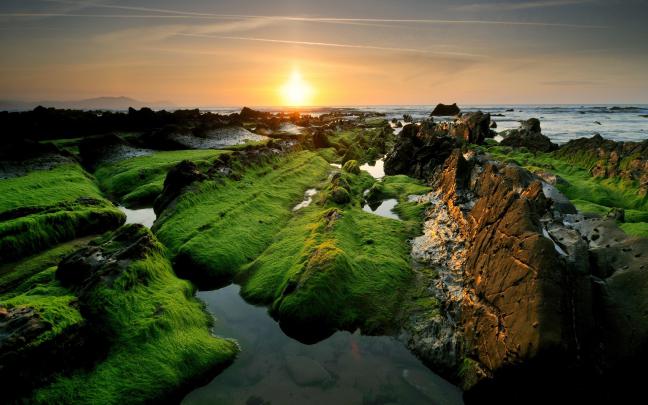 Free Download Best Desktop Background Sites