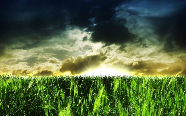 3D HD Nature Images Free Download