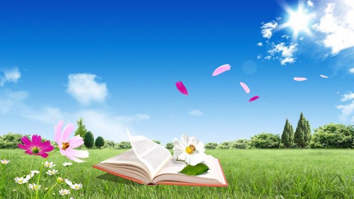 Best Site For HD Backgrounds