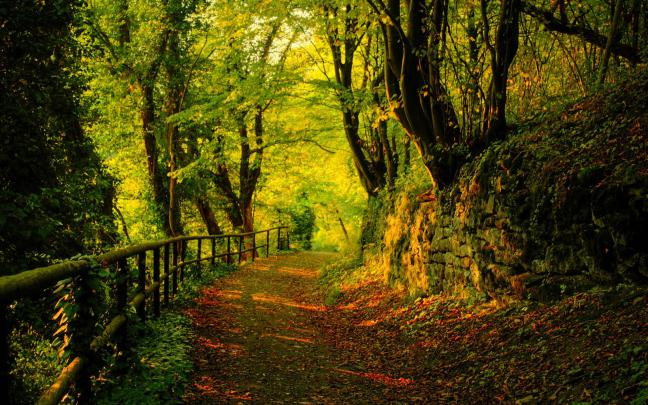 Online Wallpapers Shop: Free HD Desktop Wallpaper | Best HD Desktop 