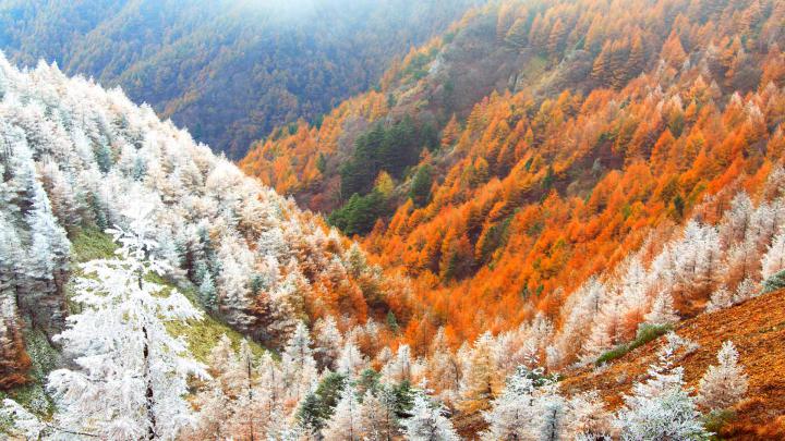 Nagano Winter \u2013 Bing Wallpaper Download