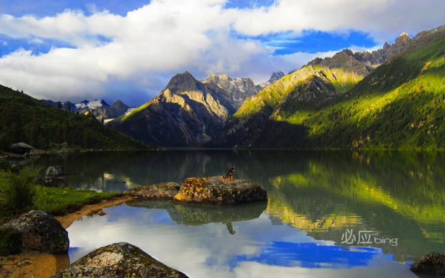 [50+] Bing Desktop Wallpaper for Mac 
