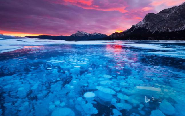 Bing Wallpaper for Mac \u2013 Abu Yasmeen