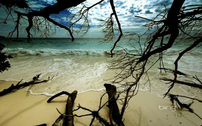 Weekly Bing backgrounds 12-18 February 2013 | HD Wallpapers