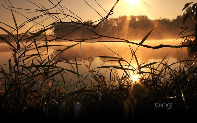 Bing weekly hi-res wallpapers 1920x1200, week 14 | HD Wallpapers