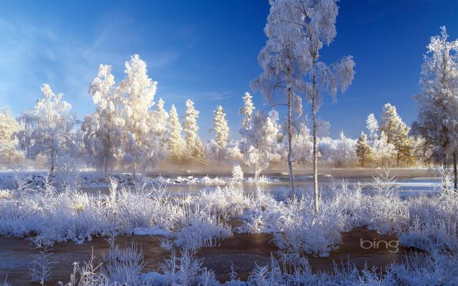 Weekly Bing wallpapers (25 to 31 December 2012) | HD Wallpapers