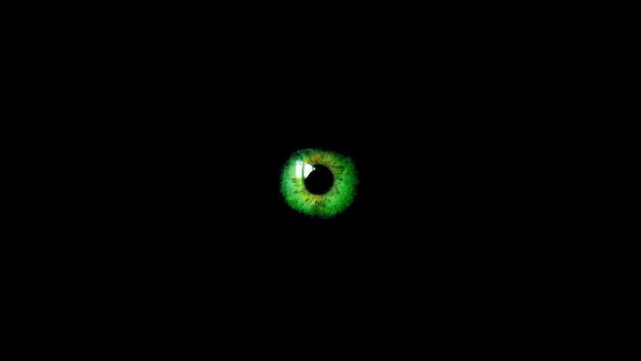 Black And Green Backgrounds