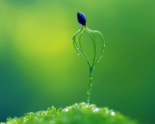 \u221a Green Abstract HD Wallpapers - wallpaper202