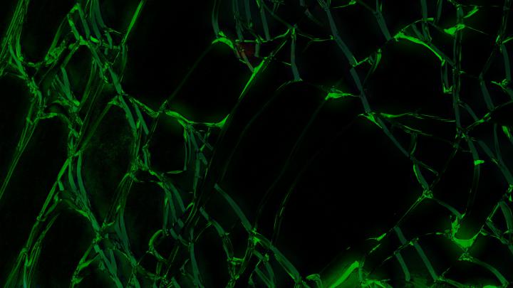 Green desktop wallpapers \u2013 ojdo