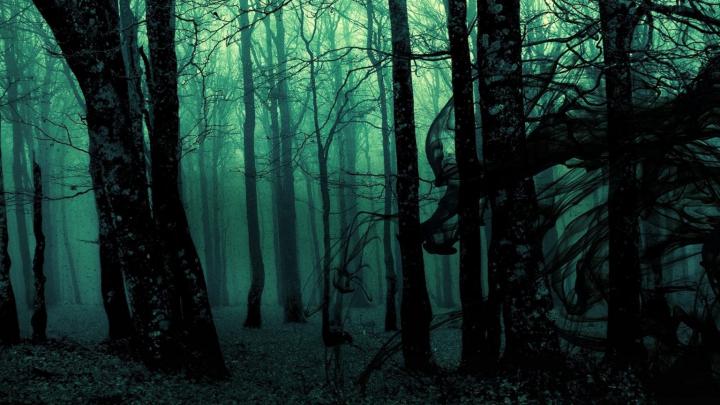 Green Aesthetic Wallpaper HD For Desktop - 2021 Cool Wallpaper HD